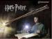 Ref-1181  Baguette lumineuse de Harry Potter